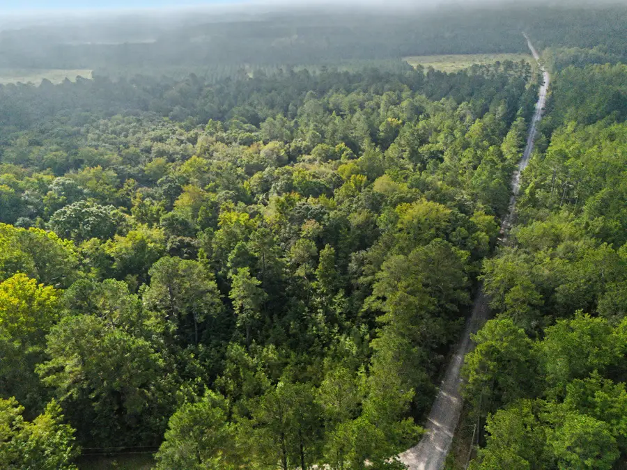 0 Tree Farm Road, Walterboro, SC 29488 - #2