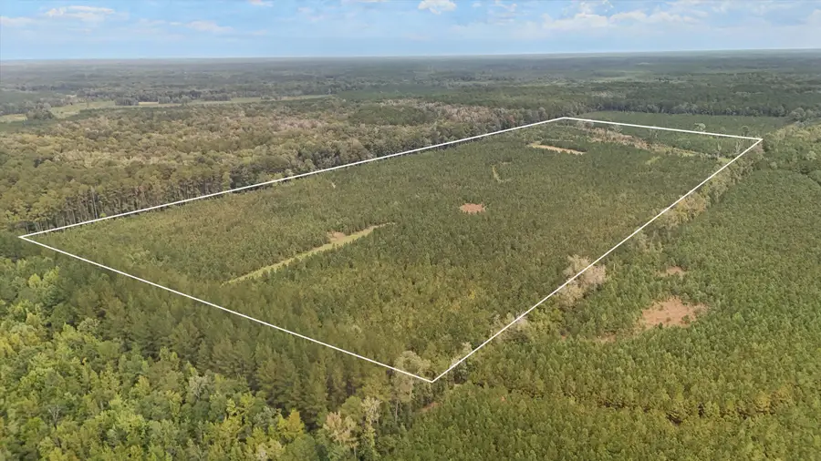 000 Augusta Highway, Smoaks, SC 29481 - #2