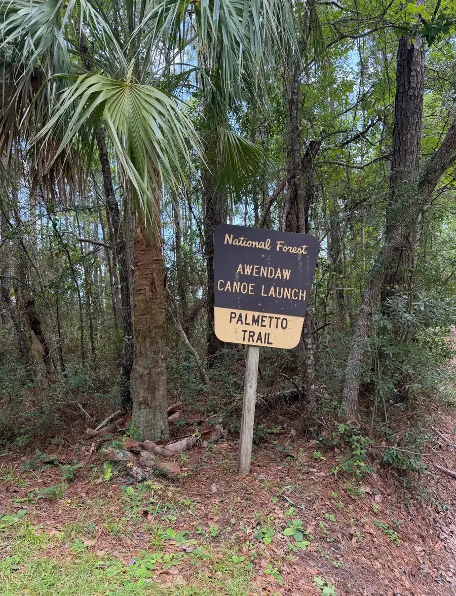 1017 Rosa Green Road, Awendaw, SC 29429 - #3