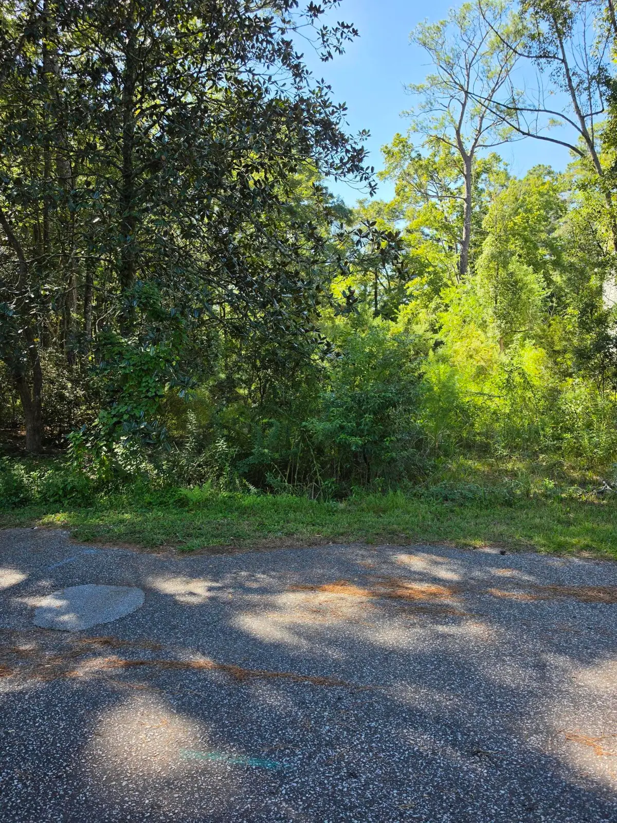 206 Foster Street, Summerville, SC 29483 - #1
