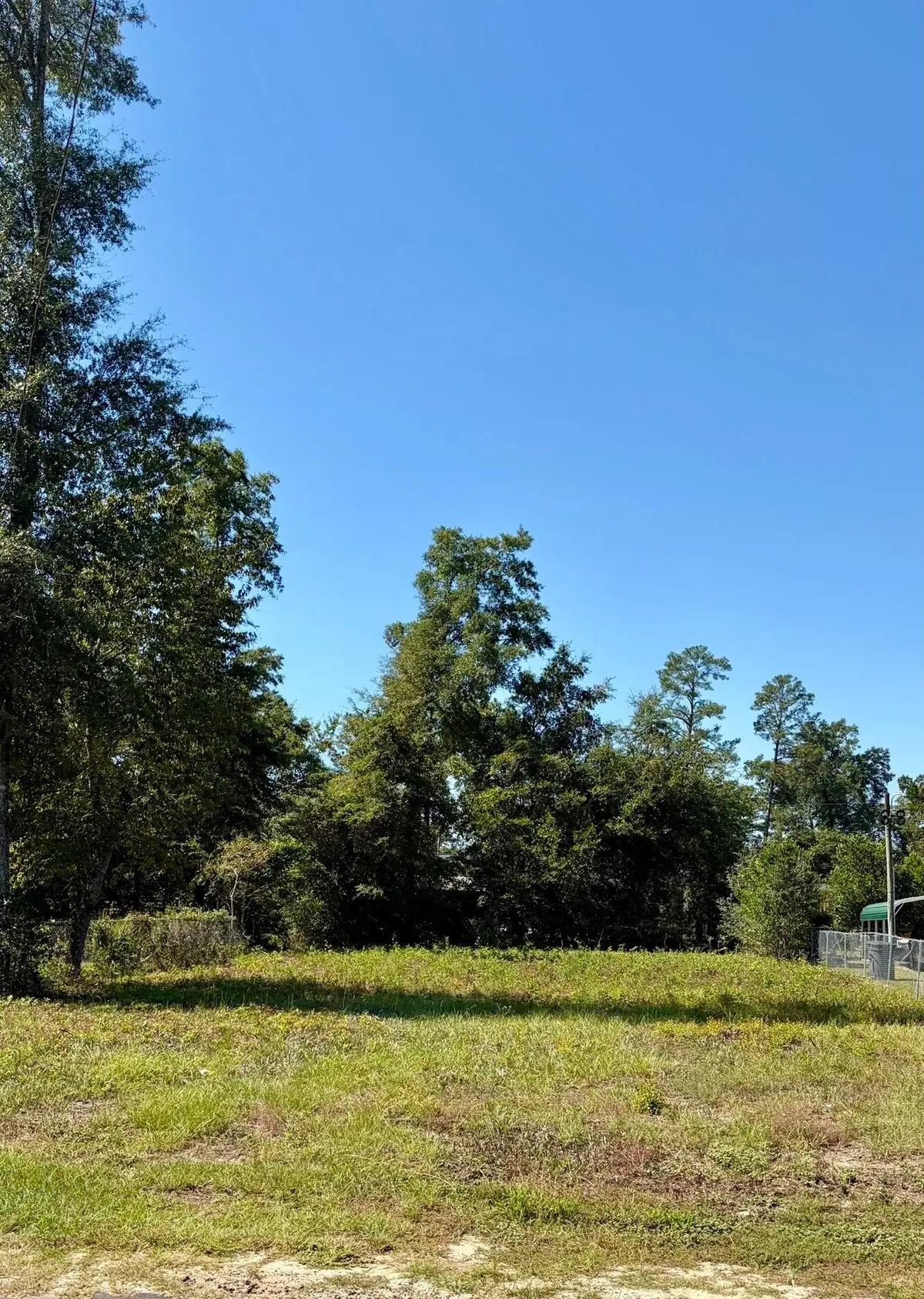 105 Carver Street, Walterboro, SC 29488 - #1