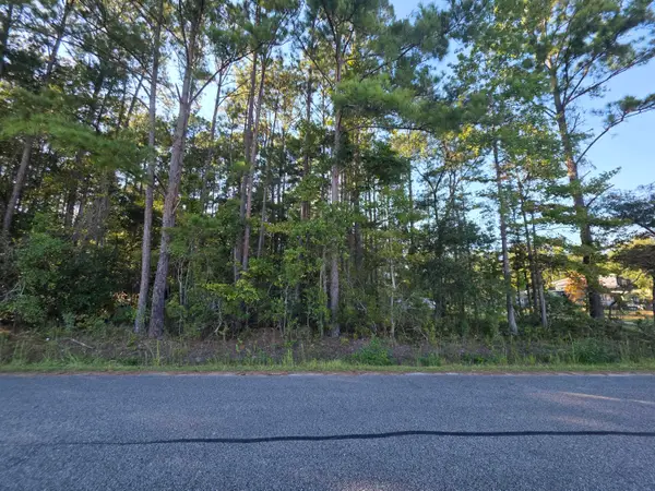 0 Buck Drive, Georgetown, SC 29440