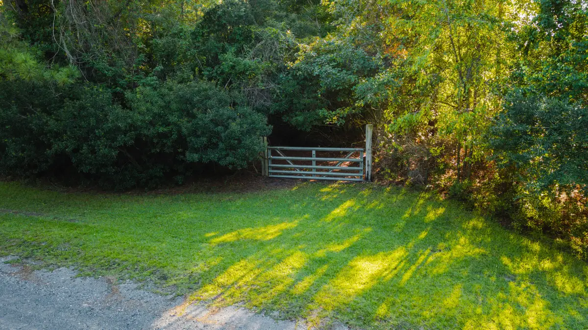 000 Hazelhurst Lane, Ravenel, SC 29470 - #1