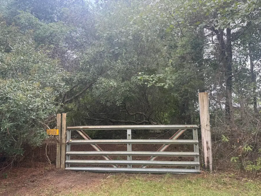 000 Hazelhurst Lane, Ravenel, SC 29470 - #2