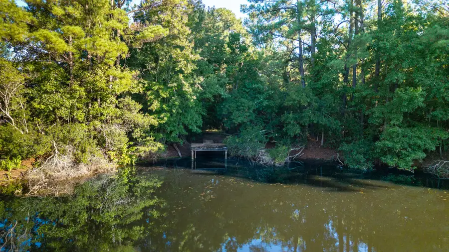 000 Hazelhurst Lane, Ravenel, SC 29470 - #3