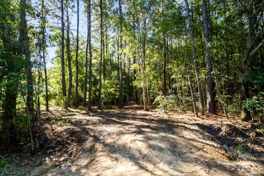 3727 Humbert Road, Johns Island, SC 29455 - #3