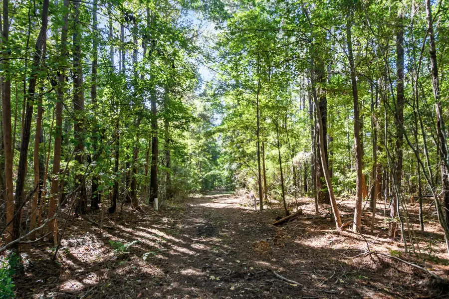 3745 Humbert Road, Johns Island, SC 29455 - #2