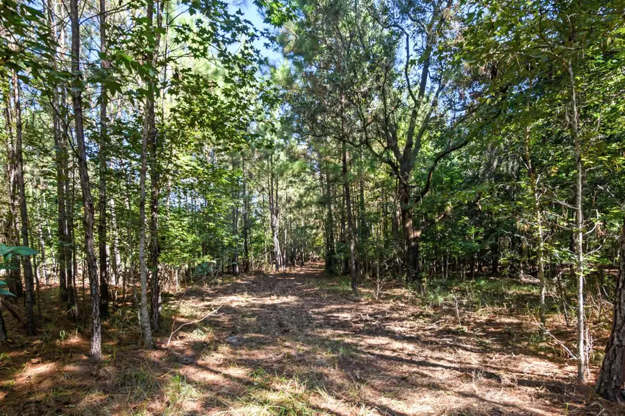 3745 Humbert Road, Johns Island, SC 29455 - #3