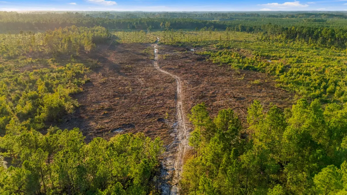 0 Tom Crib Rd, Andrews, SC 29510 - #1