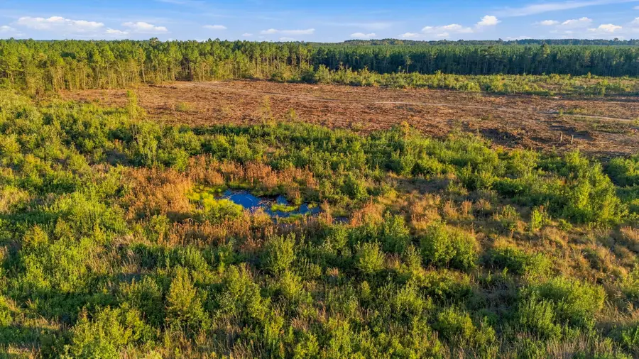 0 Tom Crib Rd, Andrews, SC 29510 - #3