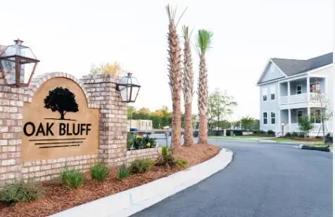 1126 Burkets Bend Lane, Charleston, SC 29492 - #1