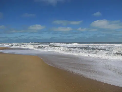 7909 Edingsville Beach Road, Edisto Island, SC 29438 - #3