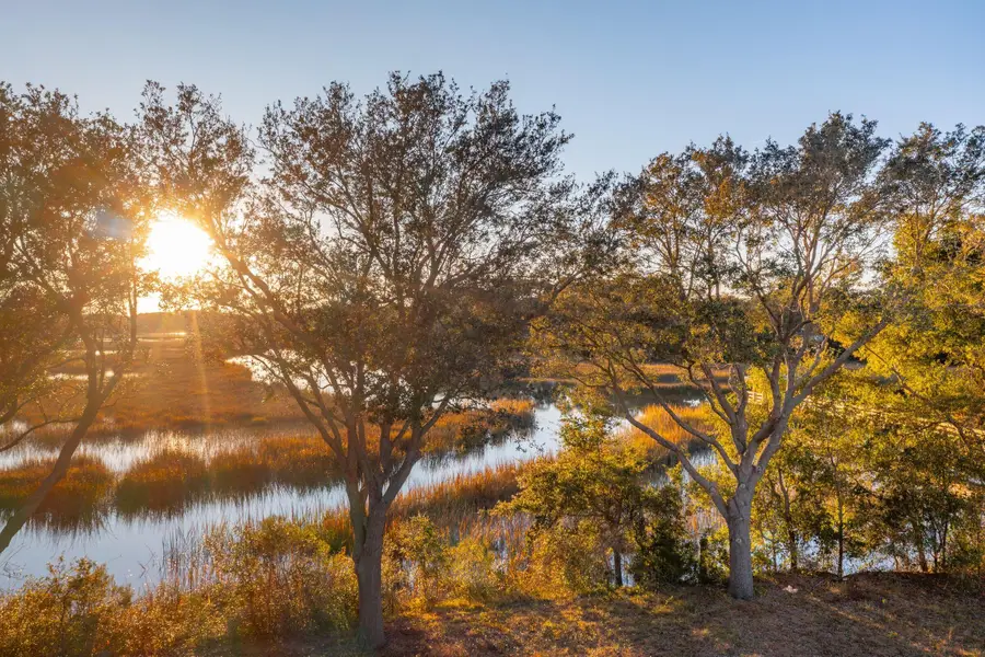 832 Curved Creek Court, Charleston, SC 29412 - #2