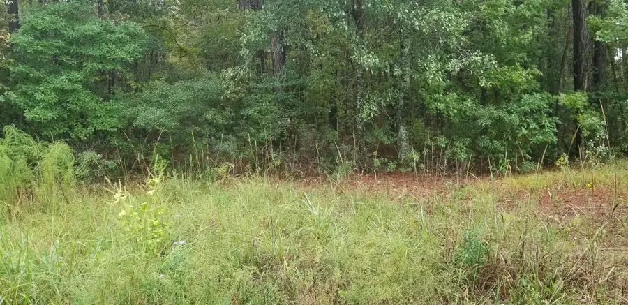 000 St Peters, Walterboro, SC 29488 - #2