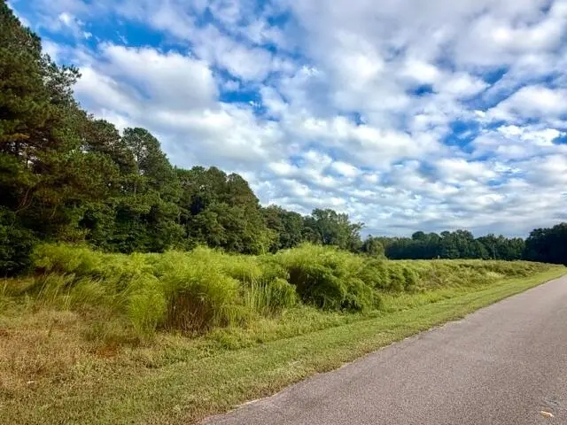 Tbd Misty Glen Road, Saint George, SC 29477 - #2
