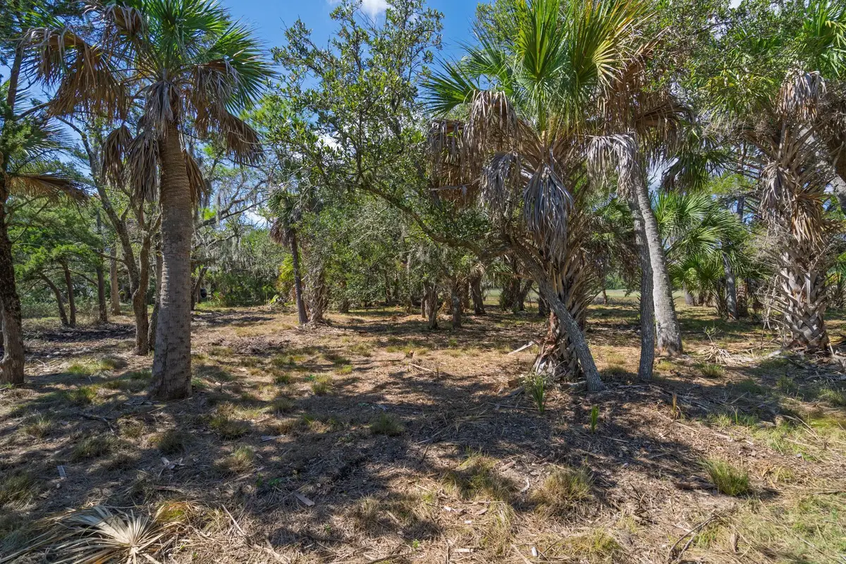35 Hammocks Way, Edisto Island, SC 29438 - #1