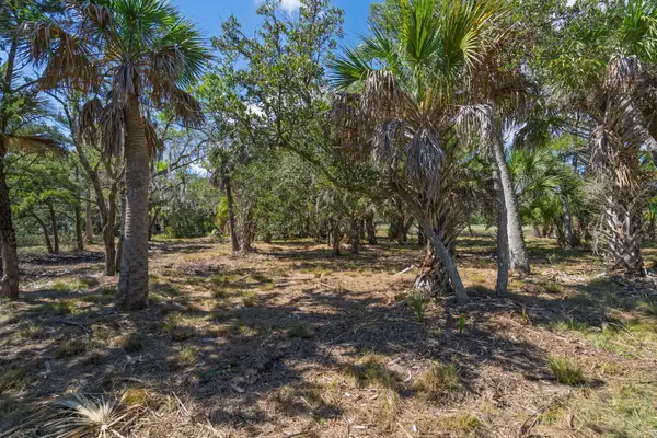 35 Hammocks Way, Edisto Island, SC 29438