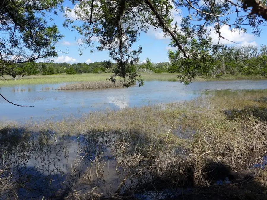 35 Hammocks Way, Edisto Island, SC 29438 - #2