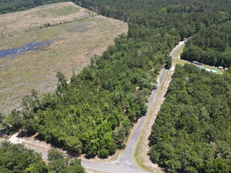 00000 Tumbleweed Road, Smoaks, SC 29481 - #2