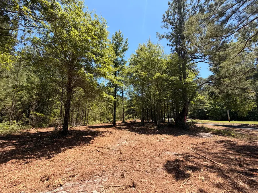 00000 Tumbleweed Road, Smoaks, SC 29481 - #3