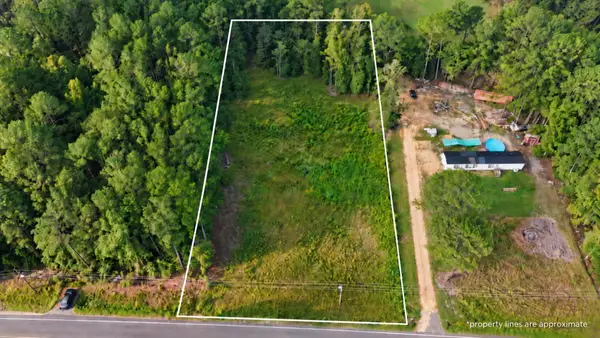 Tbd Wesley Grove Road, Cottageville, SC 29435