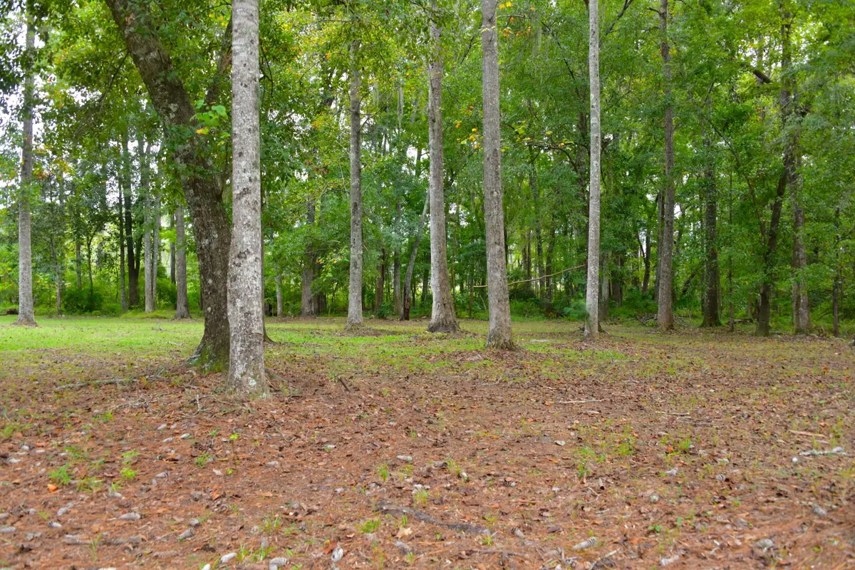 6441 Highway 162, Hollywood, SC 29449 - #1