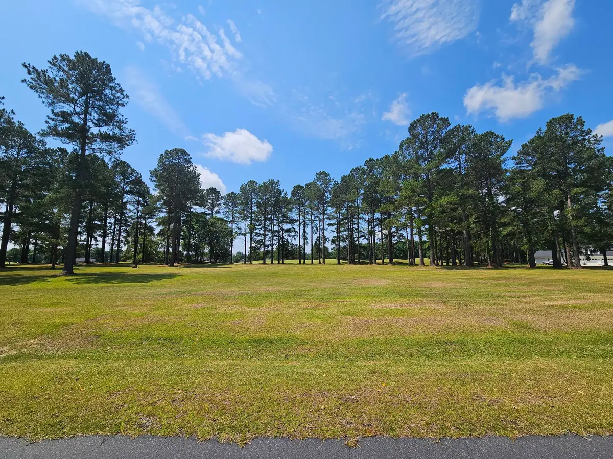 423 Pinelake Court, Manning, SC 29102 - #1