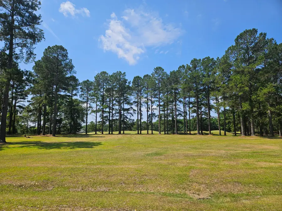 423 Pinelake Court, Manning, SC 29102 - #2