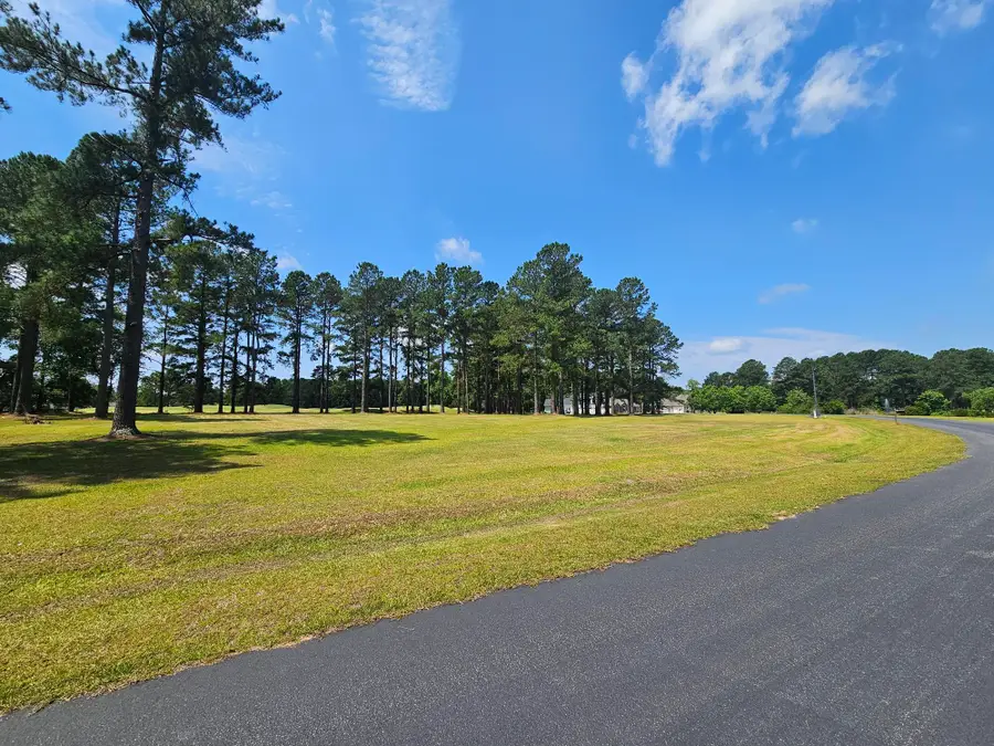 423 Pinelake Court, Manning, SC 29102 - #3