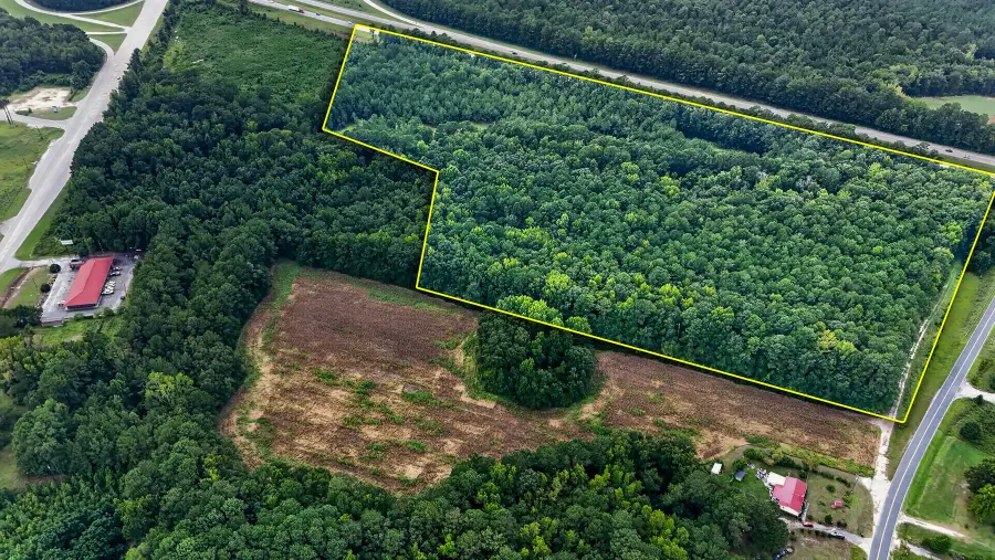0000 Hamilton Road, Manning, SC 29102 - #3