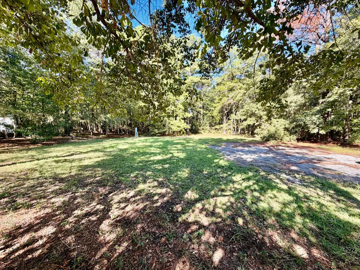 109 Summer Duck Lane, Bonneau, SC 29431 - #1