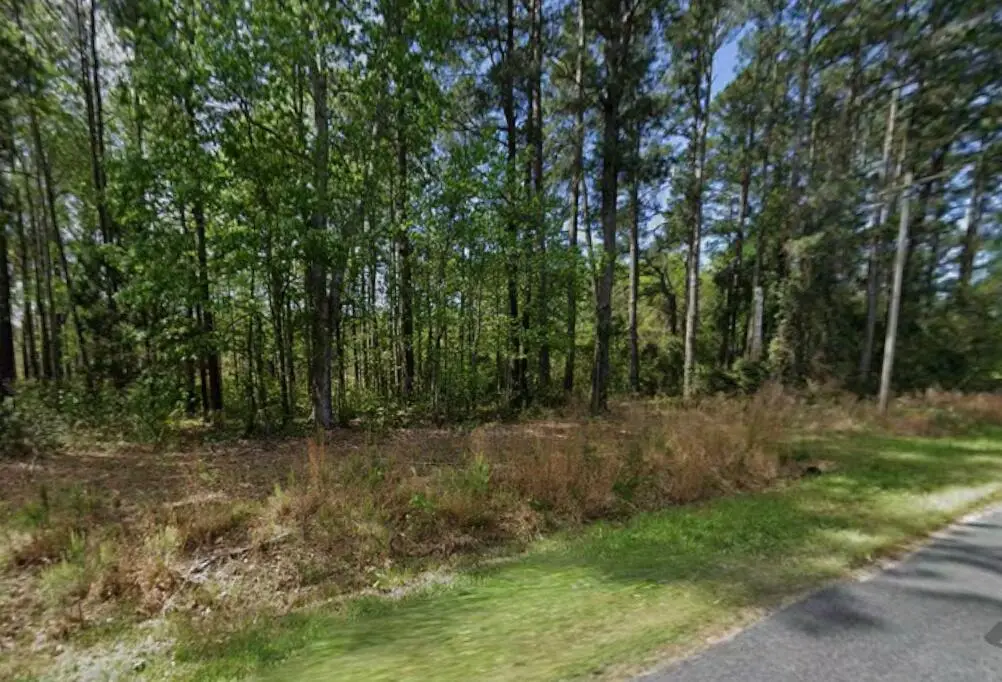 15275 Bennetts Point Road, Green Pond, SC 29446 - #1