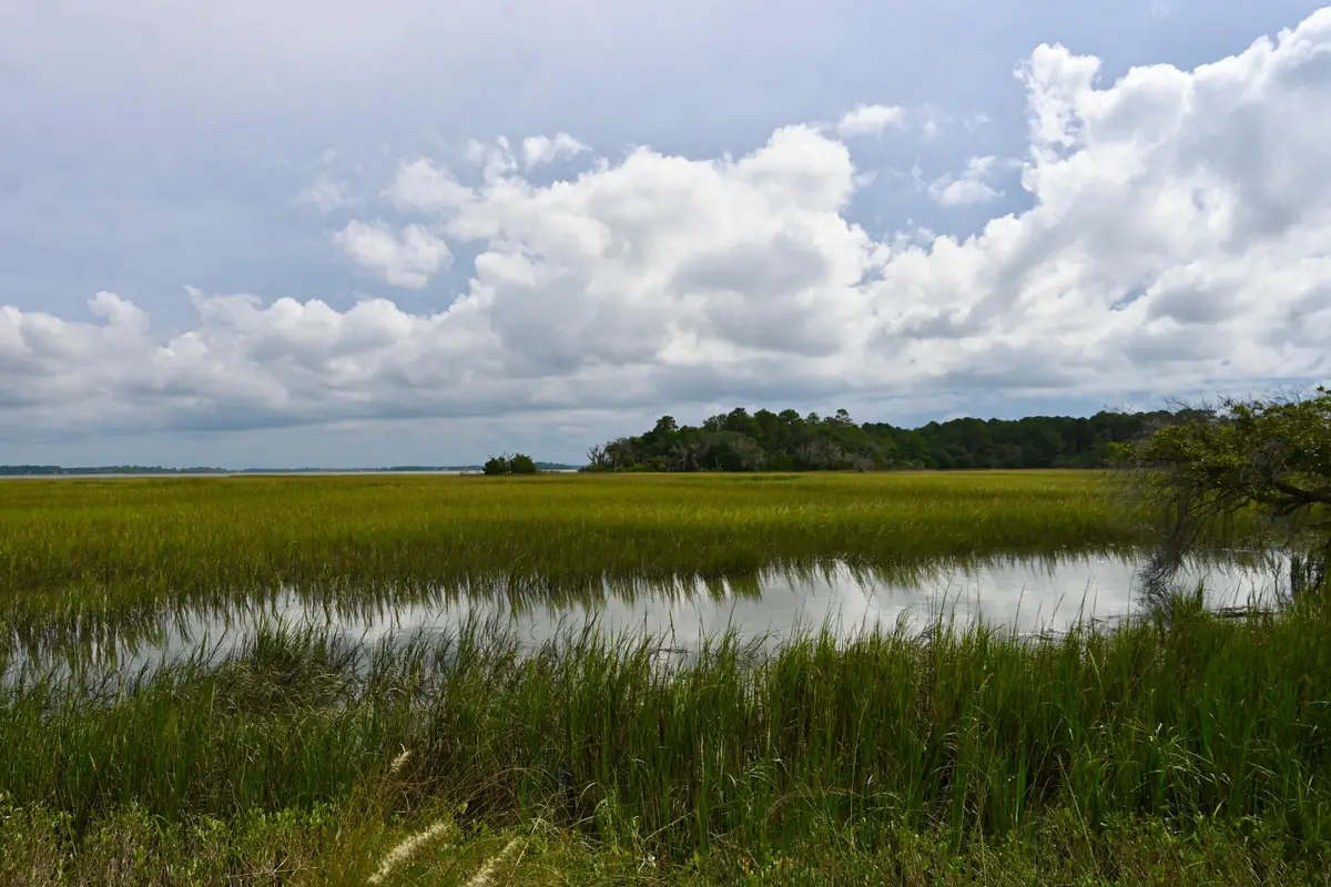 #18 Hopkins Place Drive #18, Edisto Island, SC 29438 - #1
