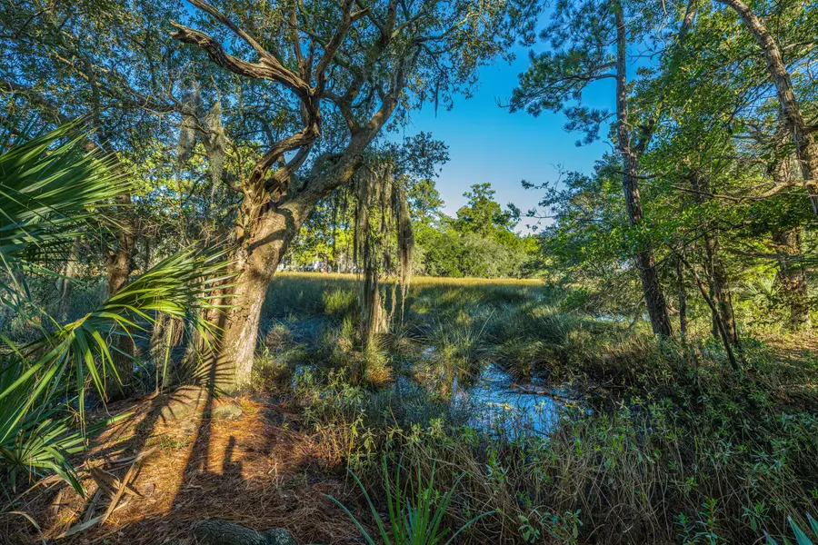 129 Historic Drive, Mount Pleasant, SC 29464 - #3