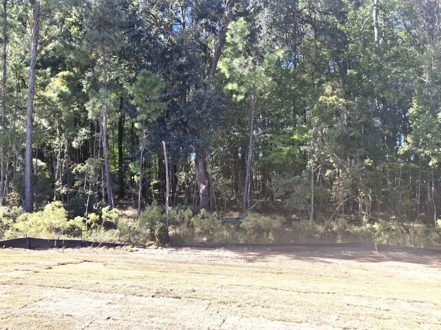 1080 Razor Clam Way, Summerville, SC 29485 - #3
