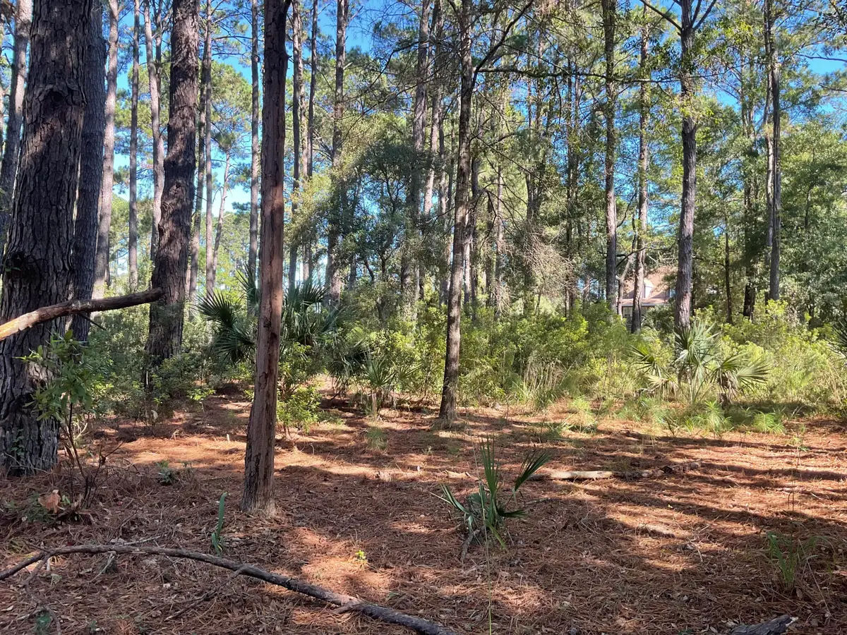 8366 Palmetto Road, Edisto Island, SC 29438 - #1
