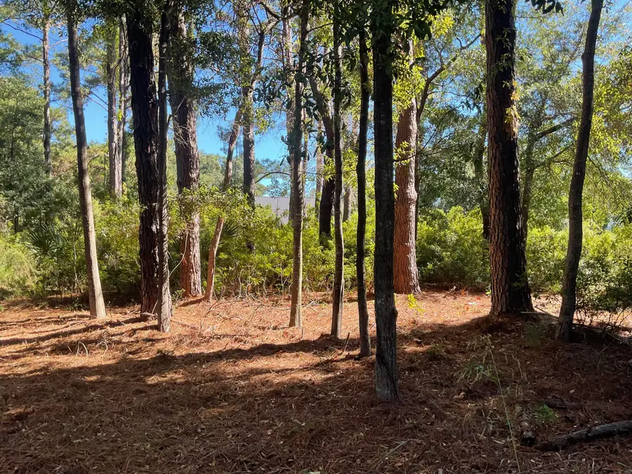 8366 Palmetto Road, Edisto Island, SC 29438 - #2