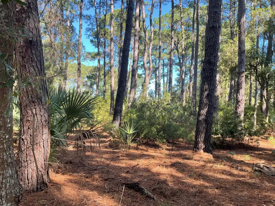 8366 Palmetto Road, Edisto Island, SC 29438 - #3