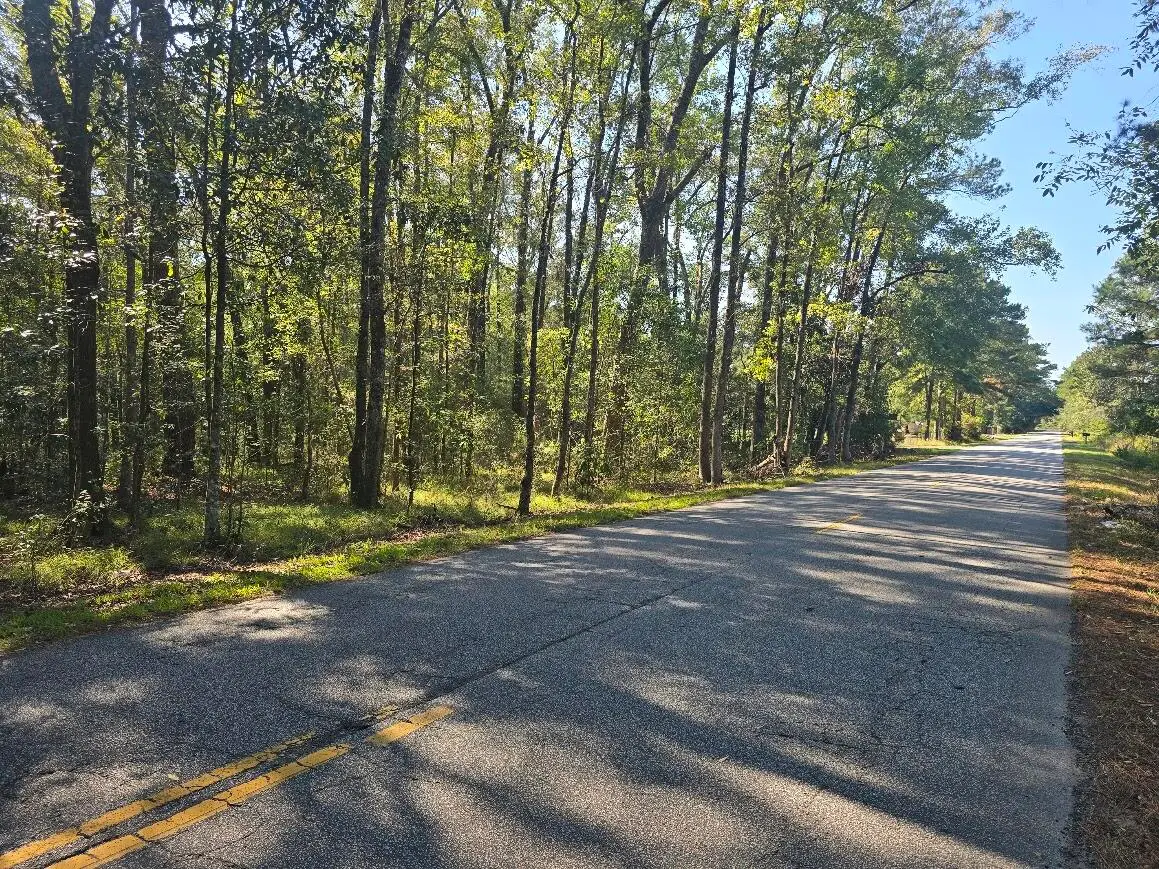 2442 Peirce Road, Cottageville, SC 29435 - #1