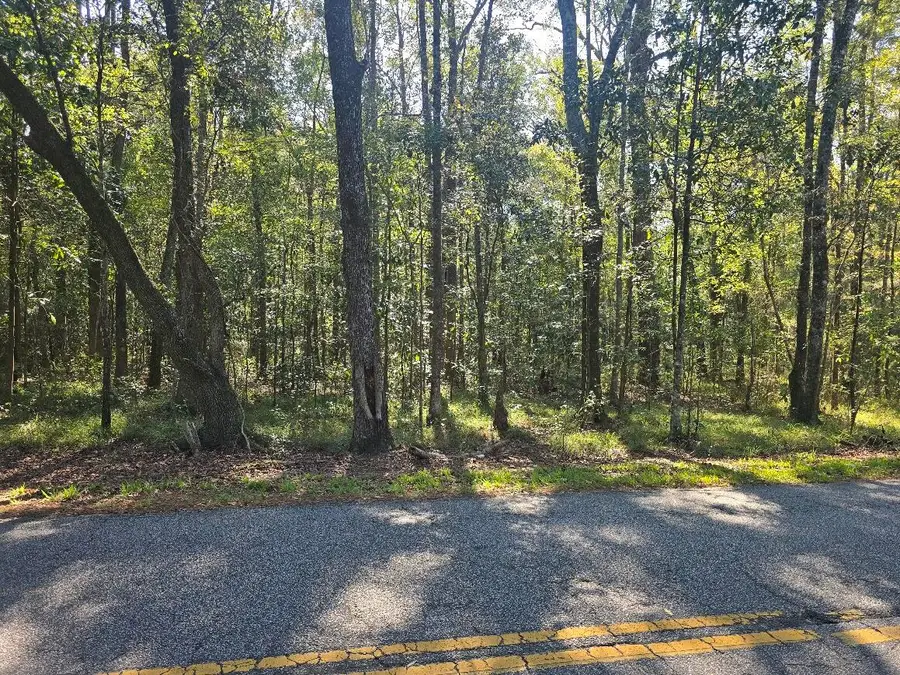 2442 Peirce Road, Cottageville, SC 29435 - #2