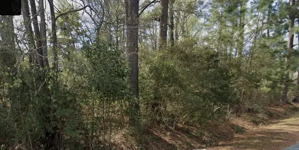 00 Ginn Altman Avenue, Hampton, SC 29924