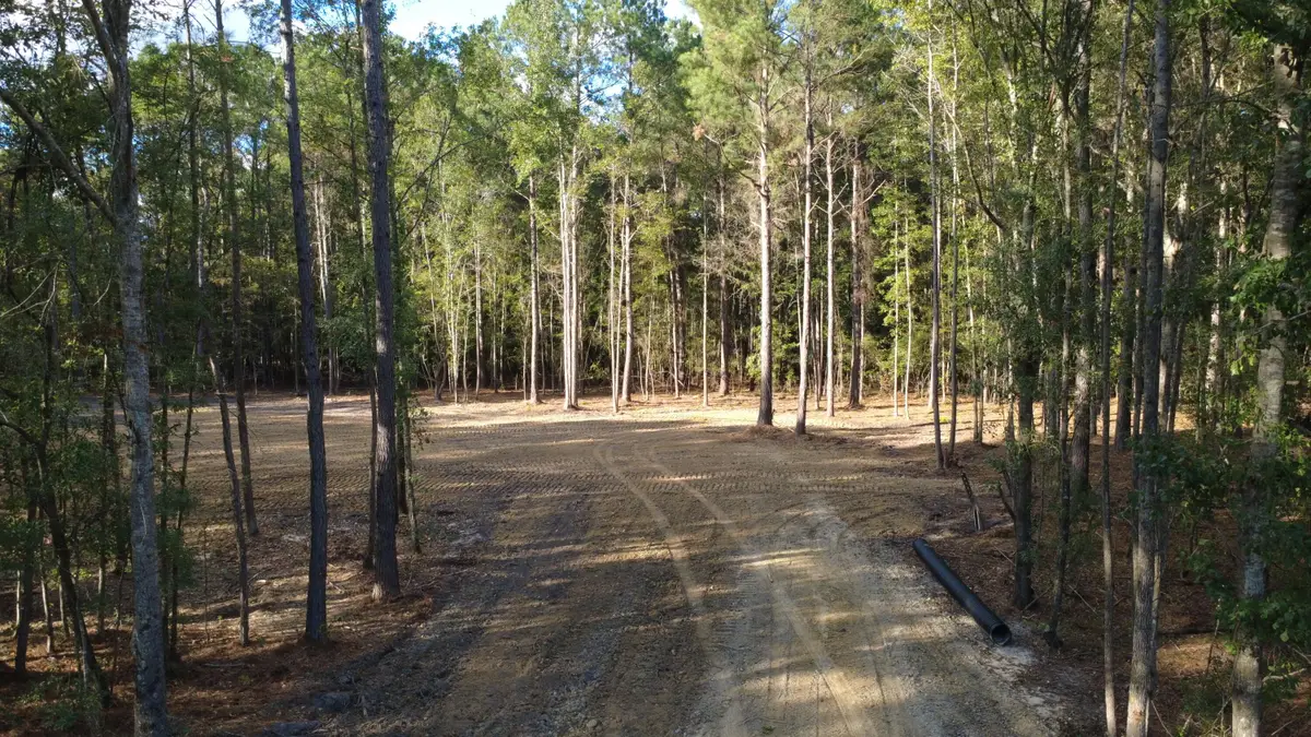 0 Gum Branch & Sweetgum Road, Saint George, SC 29477 - #1