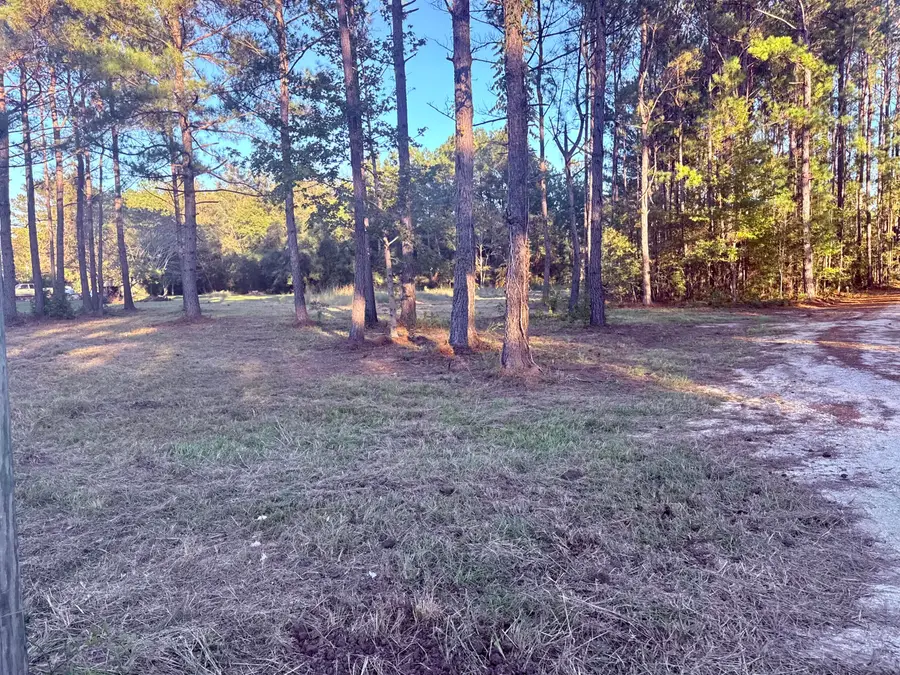 312 Heaven Drive, Saint Stephen, SC 29479 - #3