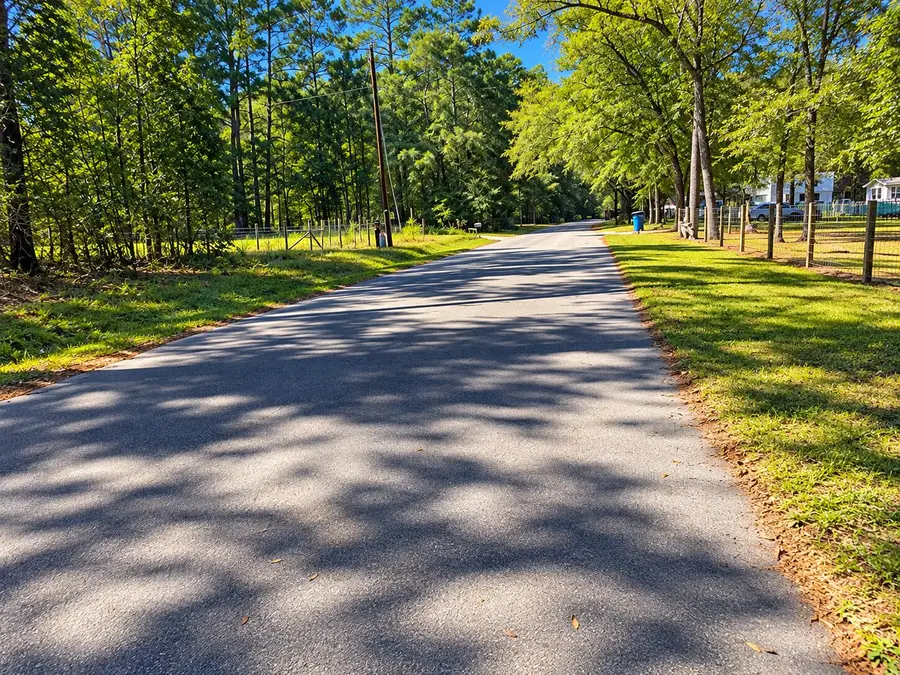8127 Gabe (lot 2) Road, Adams Run, SC 29426 - #3
