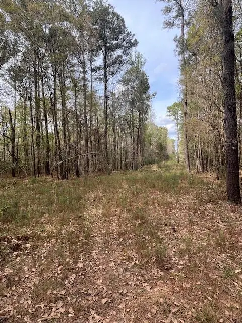 0 Palm Street, Reevesville, SC 29471 - #1