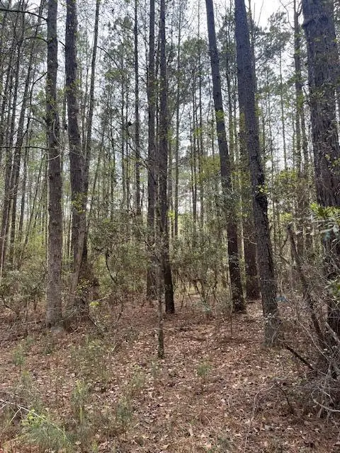 0 Palm Street, Reevesville, SC 29471 - #3