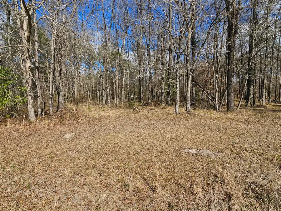 271 Winningham Road, Summerville, SC 29483 - #2