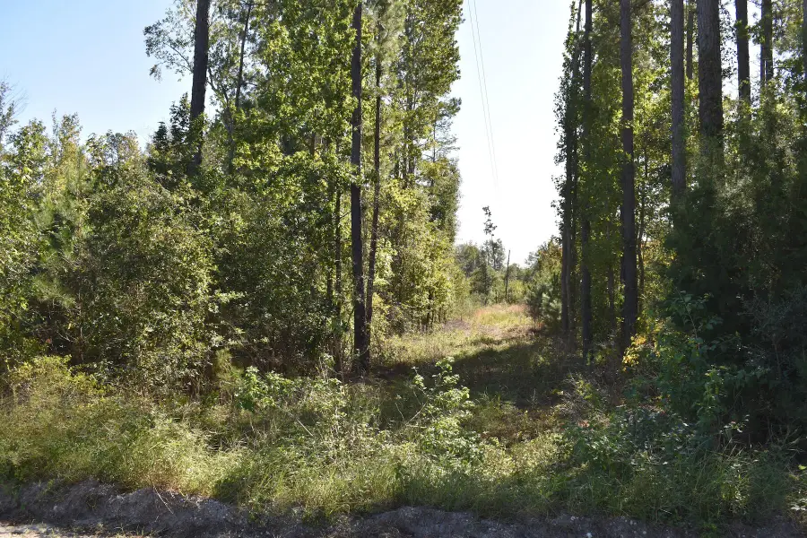 0000 Murdock Road, Manning, SC 29102 - #3