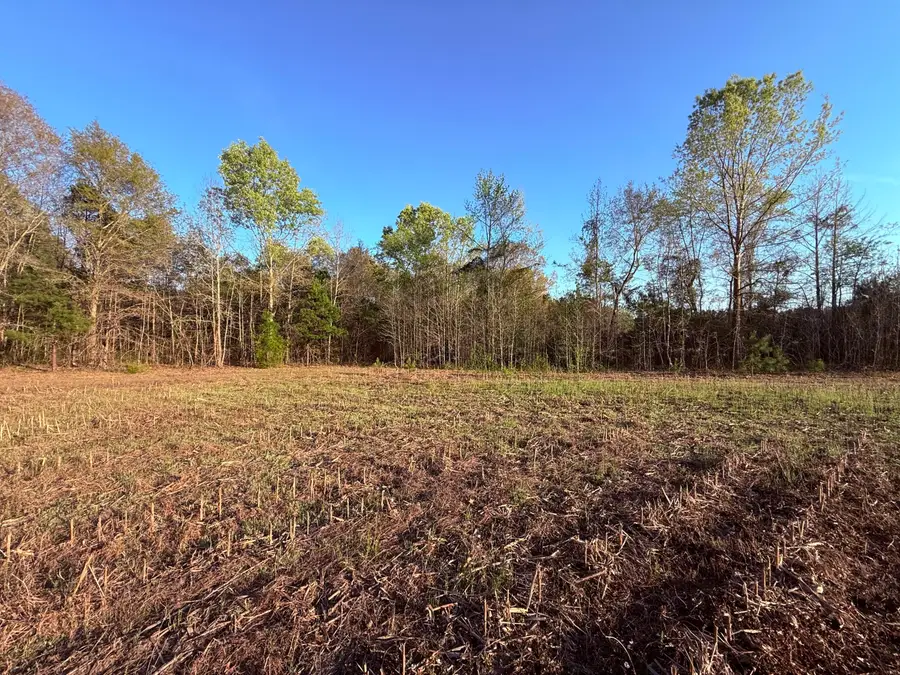 430 Weenee Road, Jamestown, SC 29453 - #2