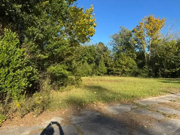 0 Charleston Highway #02462004011000, Bowman, SC 29018